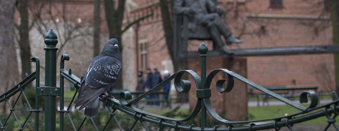Czy Kraków to skostniałe miasto muzeum? Jak mówić o historii, by dotrzeć do nowego odbiorcy