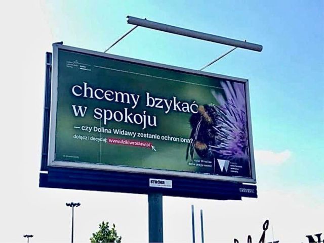 Kampania Dziki Wrocław – dzika przyjemność